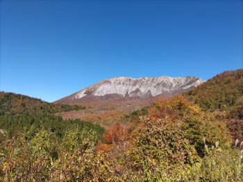 大山の紅葉